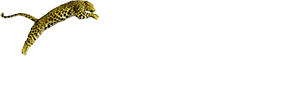 Locarno Festival Official Selection